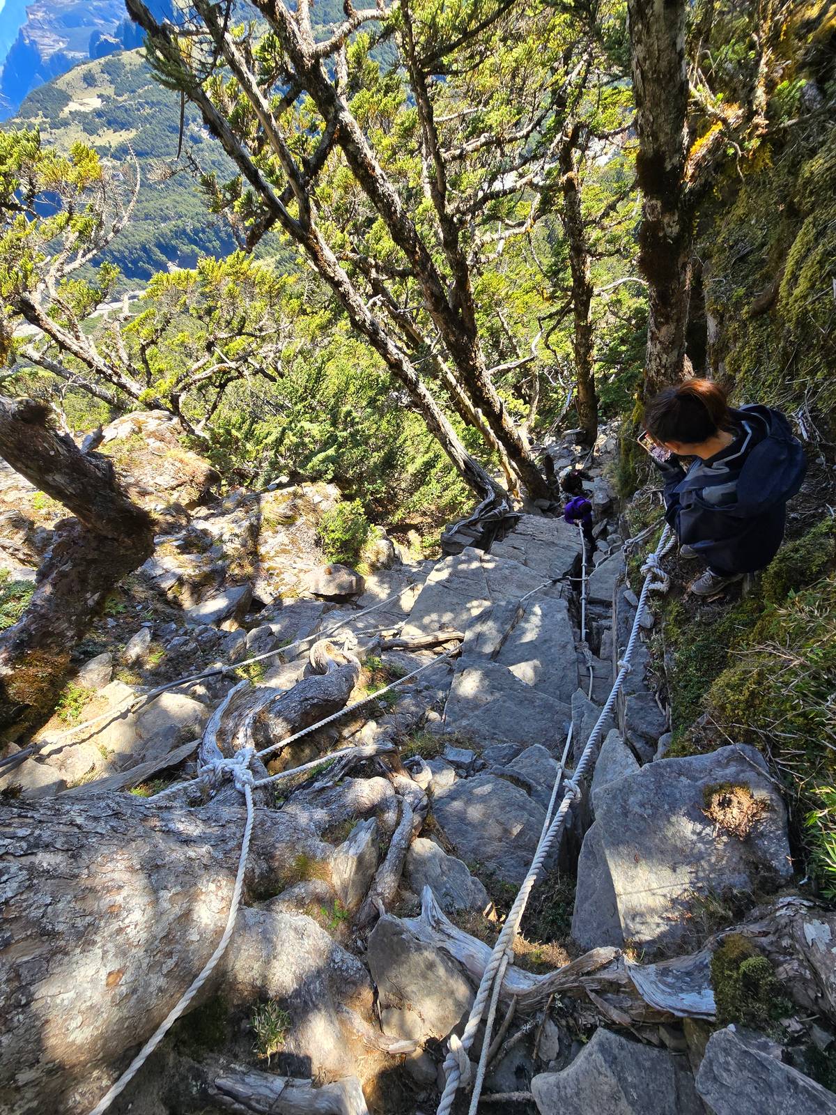 山頂景觀