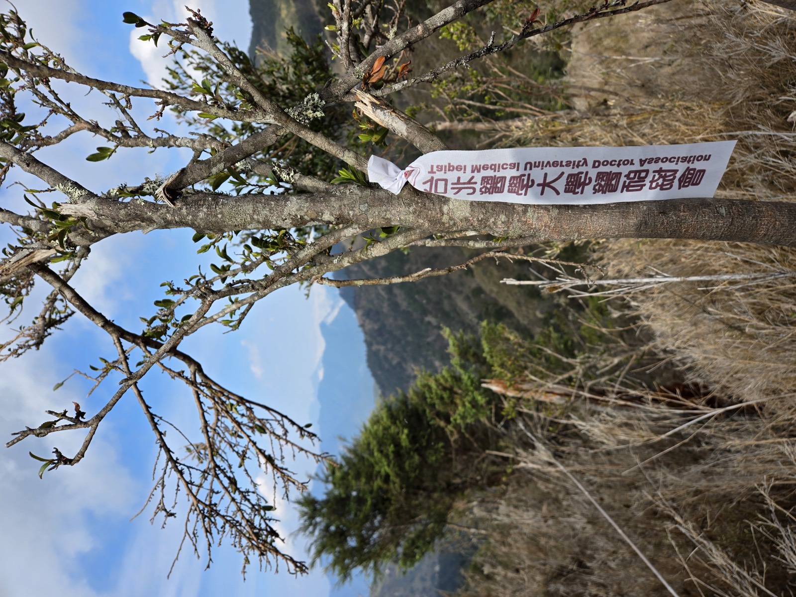 北醫醫師協會留跡